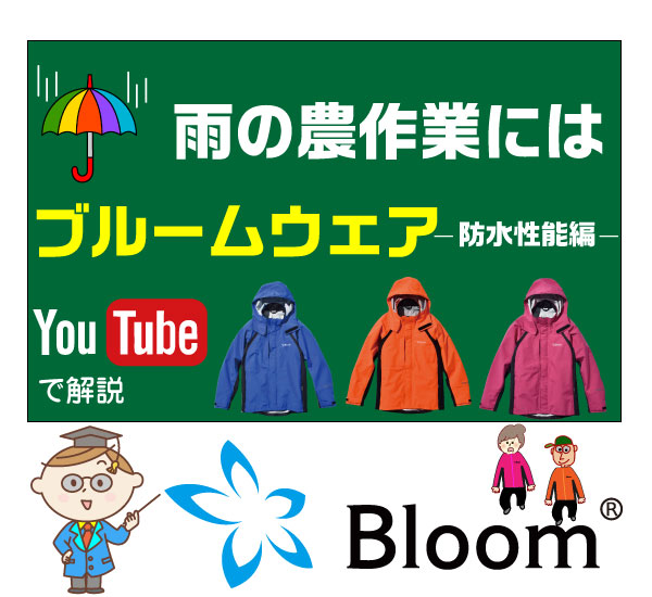 スペシャルオファ 田中産業 モミトール 入数：100枚 その他 CAPATRONATO